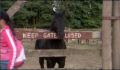 dr dolittle 3-avi_850.jpg